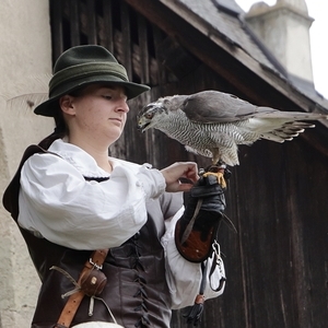 nach Drosendorf