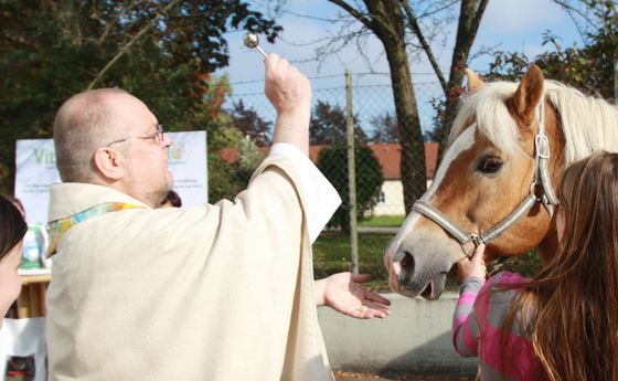 Tiersegnung während eines Gottesdienstes in der Pfarre Linz - St. Peter. © Pfarre Linz - St. Peter / Michael Mayr