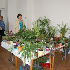 Pfarrflohmarkt