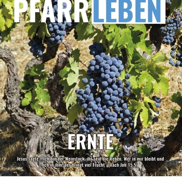Weichstettner Pfarrleben 